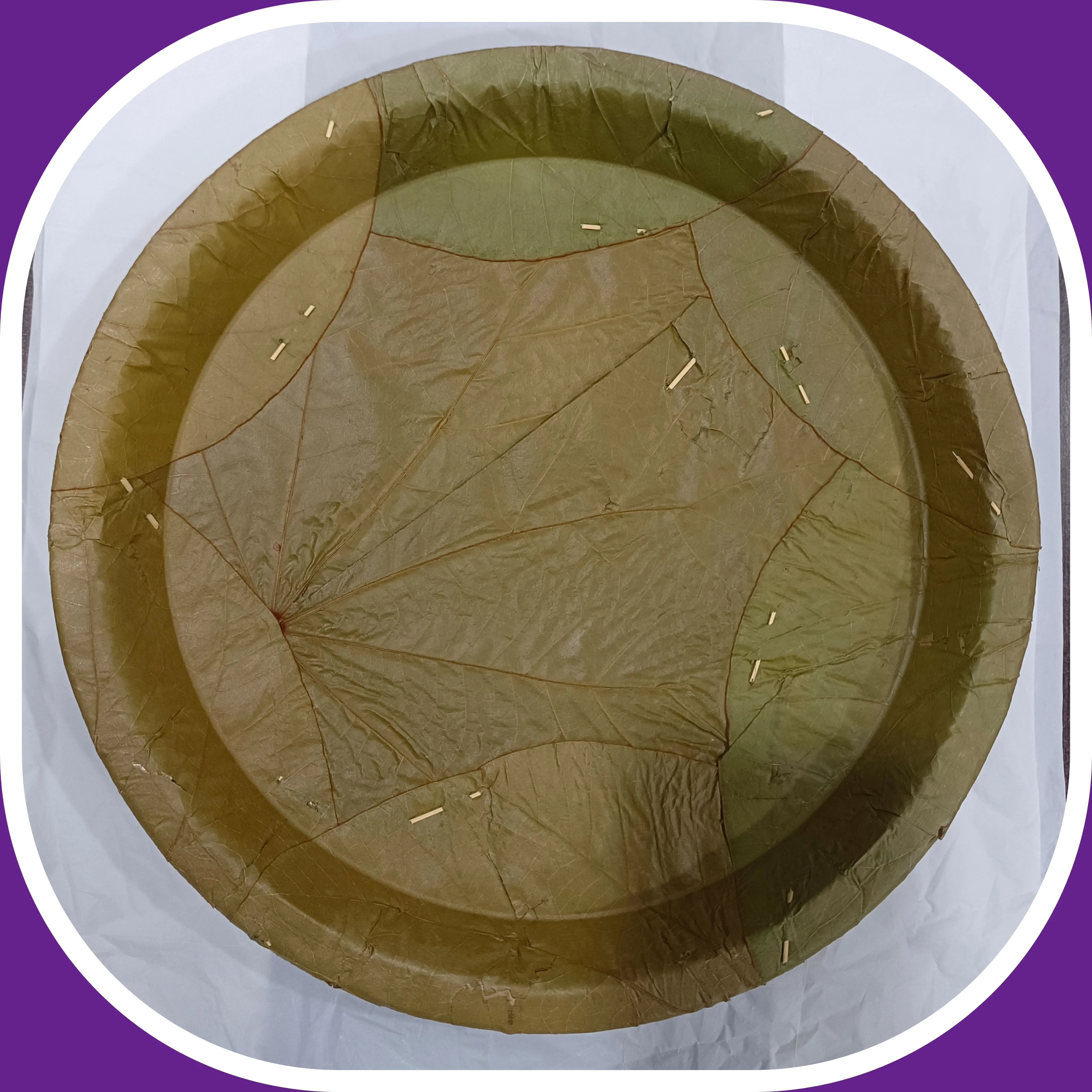 Seal Leaf Plate 12 inches Pack Of 20 (6 Per Piece)